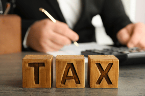Income & Corporate Tax Services_mahbub and associates